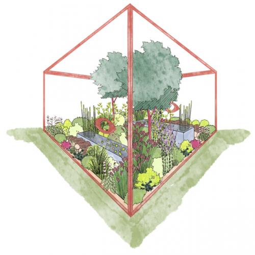 Vision in Bloom 1