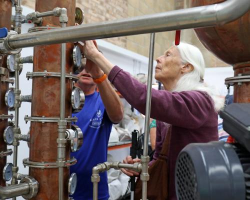 Getting hands on with the still
