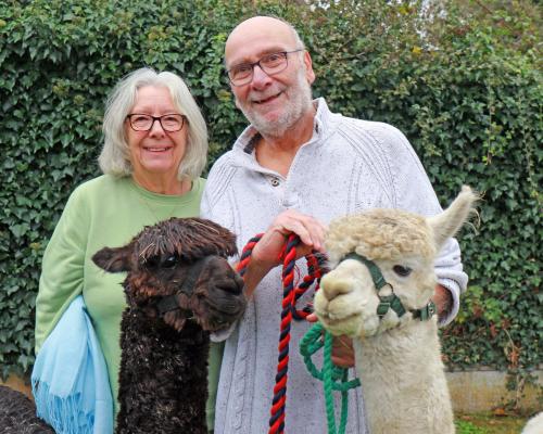 Pat and Neil Ripley with alpacas Gino left and Fergus 4MB