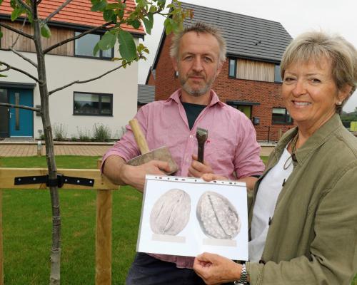Stone carver Teucer Wilson and Maggie Abel of Abel Homes with the plans for a giant walnut sculpture to be sited in Mattishall sm