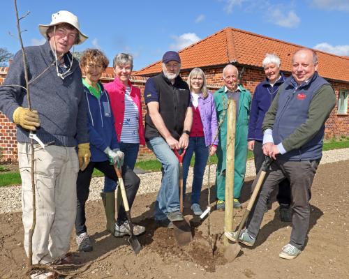 Swanton Novers community orchard planting Apr 2026 1 sm