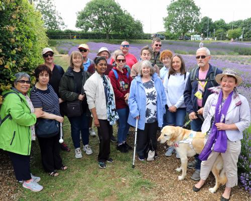 The Vision Norfolk group at Norfolk Lavender sm