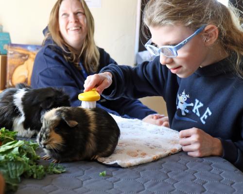 Vision Norfolk guinea pig cafe 2