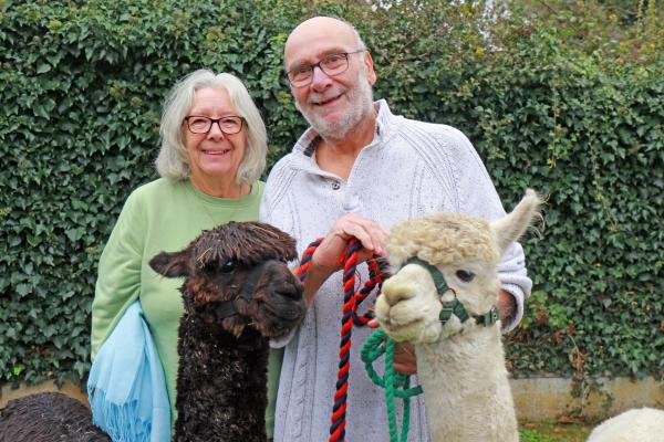 Pat and Neil Ripley with alpacas Gino left and Fergus 4MB