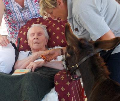 A resident at Thomas Tawell House in Norwich meets one of the miniature donkeys