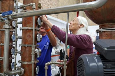 Getting hands on with the still