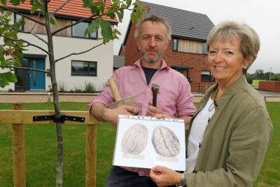 Stone carver Teucer Wilson and Maggie Abel of Abel Homes with the plans for a giant walnut sculpture to be sited in Mattishall sm