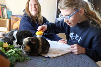 Vision Norfolk guinea pig cafe 2